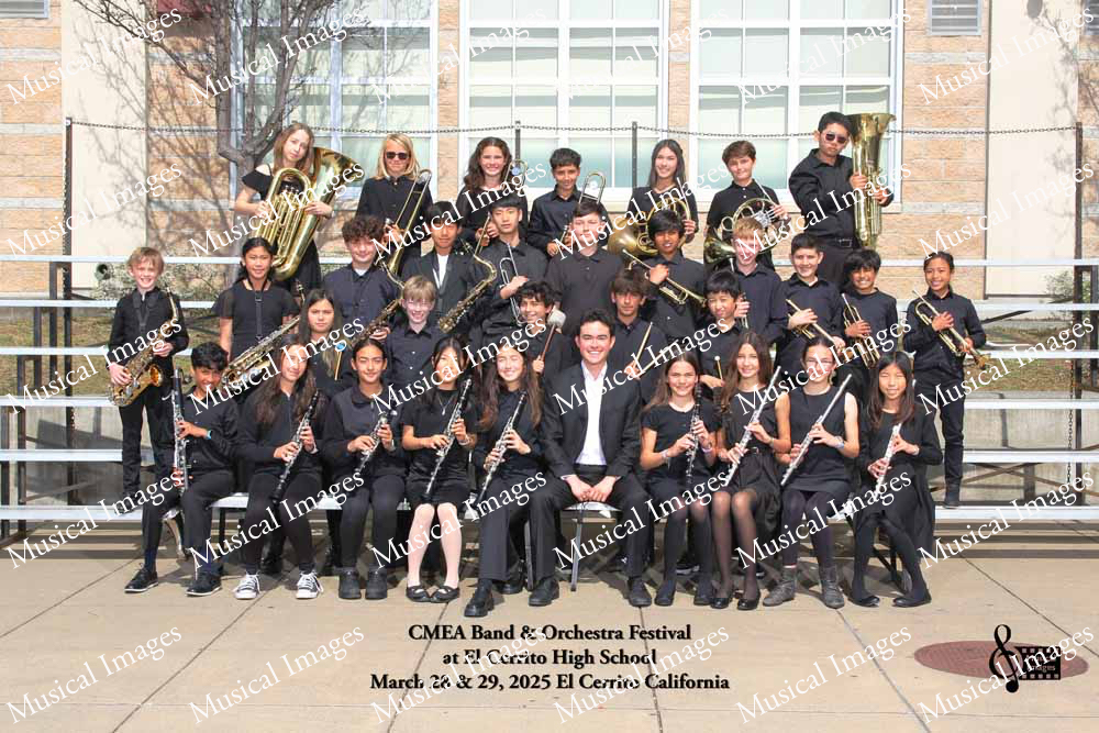Musical Images